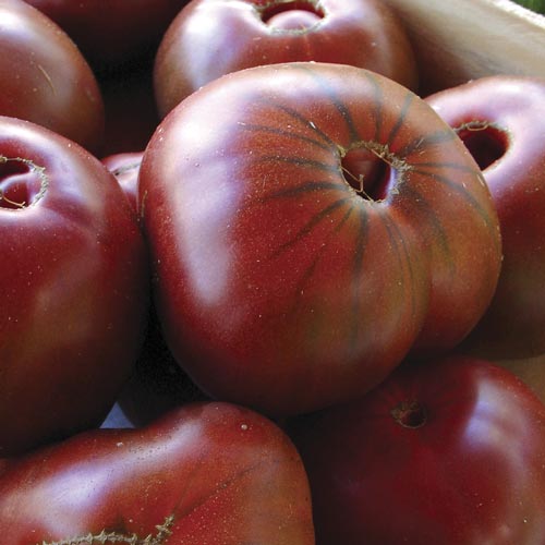 Томат Сахар коричневый изображение 1 артикул 65169