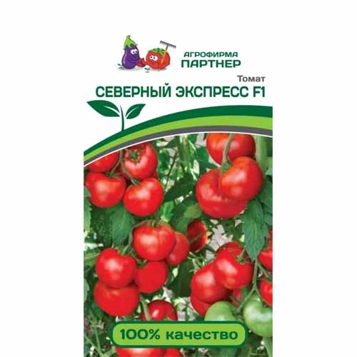 Томат Северный Экспресс F1 Партнер изображение 1 артикул 88080