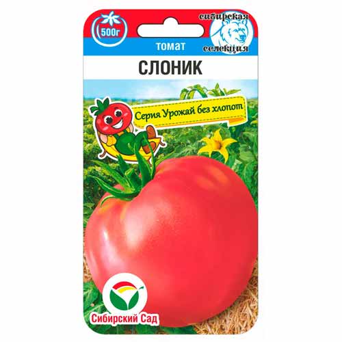 Томат Слоник Сибирский сад изображение 1 артикул 40851