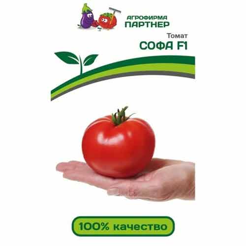 Томат Софа F1 Партнер изображение 1 артикул 81066