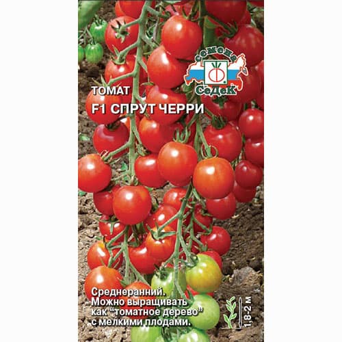 Томат Спрут черри F1 Седек изображение 1 артикул 65190