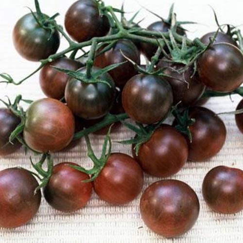 Томат Вишенка черная, семена изображение 1 артикул 65056