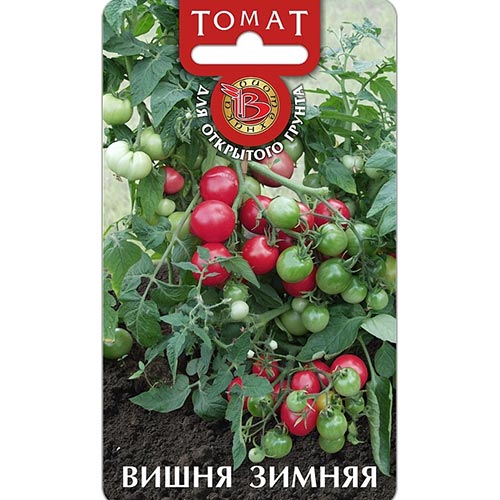Томат Вишня зимняя, семена изображение 1 артикул 91529