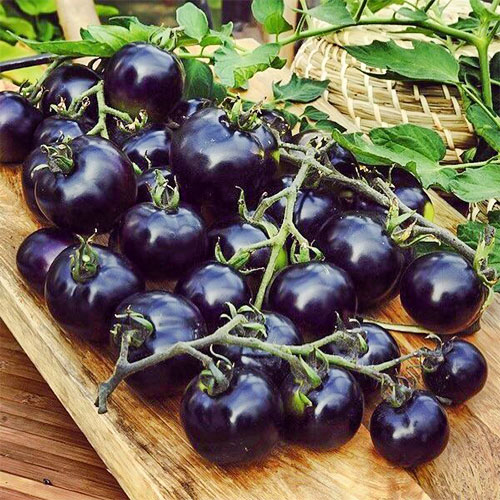 Томат Всем на зависть F1 Уральский дачник изображение 1 артикул 78419