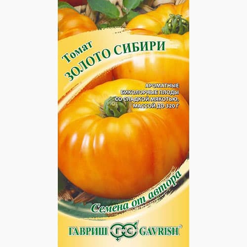 Томат Золото Сибири Гавриш артикул фото 1 Томат Золото Сибири Гавриш изображение 1 артикул 97519