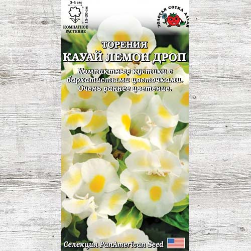 Торения Кауай Лемон Дроп изображение 1 артикул 83713