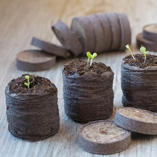 Торфяные таблетки Jiffy-7 41 мм изображение 1 артикул 83364