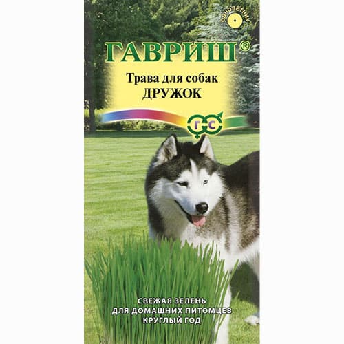 Трава для собак Дружок Гавриш артикул фото 1 Трава для собак Дружок Гавриш изображение 1 артикул 65068