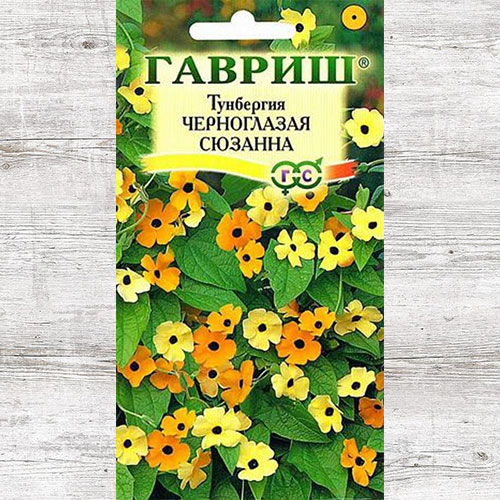 Тунбергия Черноглазая Сюзанна Гавриш изображение 1 артикул 66141