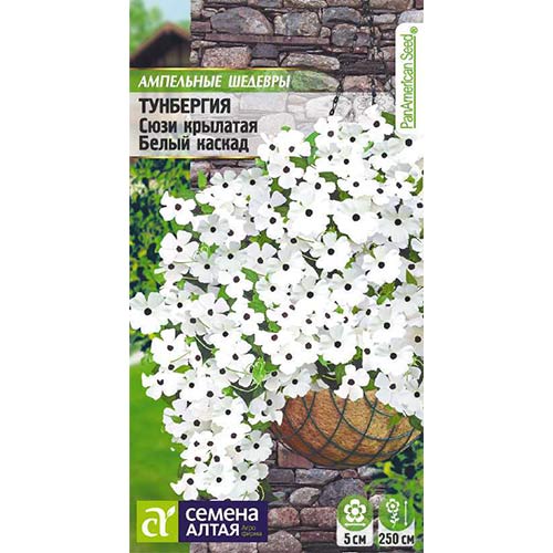 Тунбергия Сюзи Белый каскад Семена Алтая изображение 1 артикул 81794