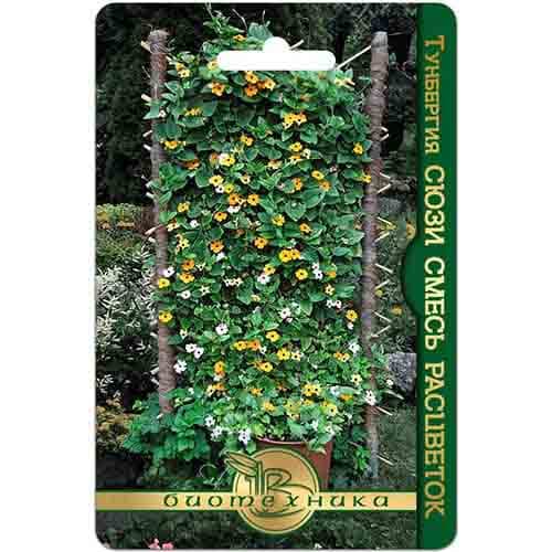 Тунбергия Сюзи, смесь окрасок Биотехника изображение 1 артикул 74132