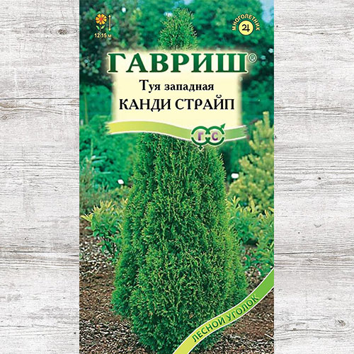 Туя западная Канди Страйп Гавриш изображение 1 артикул 73718
