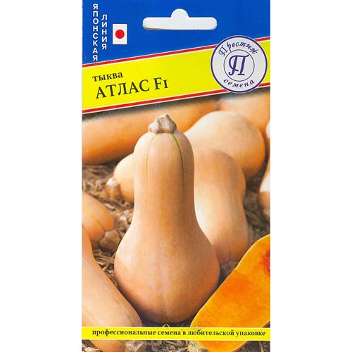 Тыква Атлас F1 Престиж изображение 1 артикул 65071