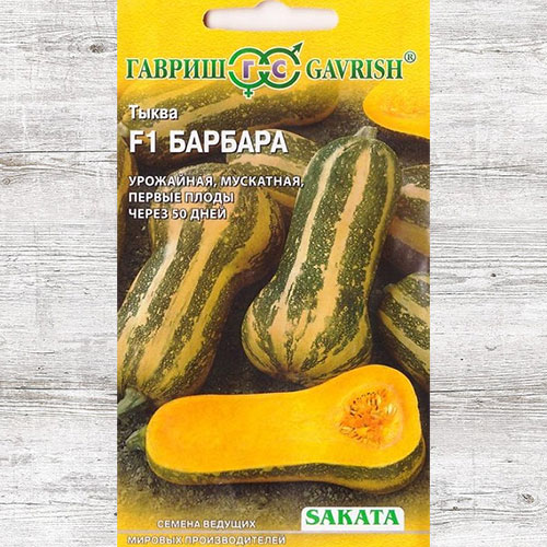 Тыква Барбара F1 Гавриш изображение 1 артикул 71091
