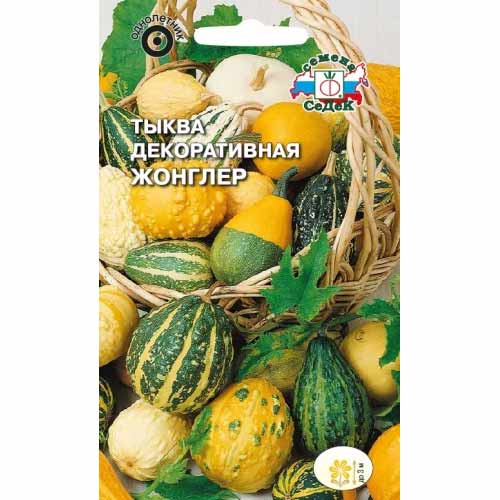 Тыква декоративная Жонглер Седек изображение 1 артикул 40532