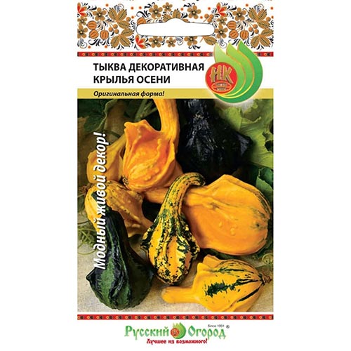 Тыква декоративная Крылья осени, смесь окрасок изображение 1 артикул 92635