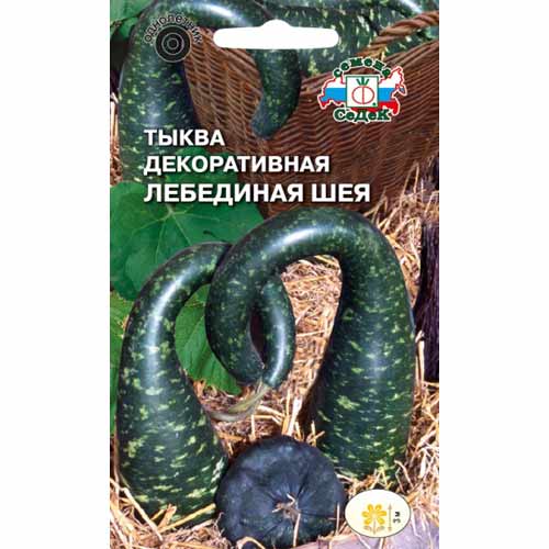 Тыква декоративная Лебединая шея Седек изображение 1 артикул 40533