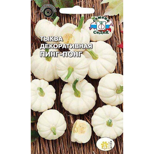 Тыква декоративная Пинг-понг, семена изображение 1 артикул 93246