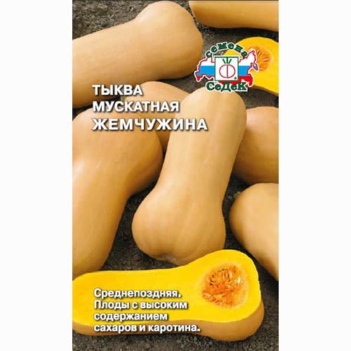 Тыква мускатная Жемчужина Седек изображение 1 артикул 84928