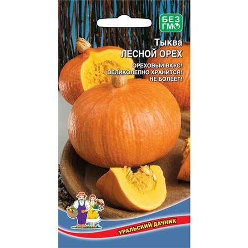 Тыква Лесной орех, семена изображение 1 артикул 94727