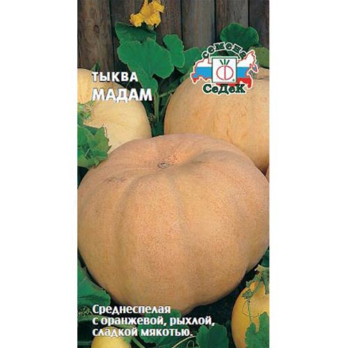 Тыква Мадам, семена изображение 1 артикул 93591