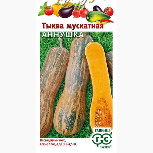 Тыква мускатная Аннушка, семена изображение 1 артикул 94728