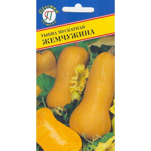 Тыква мускатная Жемчужина Престиж изображение 1 артикул 97974