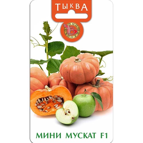 Тыква мускатная Мини мускат, семена изображение 1 артикул 91534