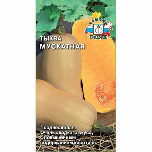 Тыква Мускатная Седек изображение 1 артикул 40534