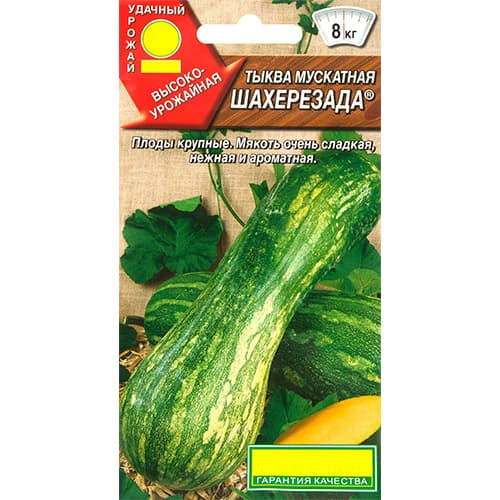 Тыква мускатная Шахерезада Аэлита изображение 1 артикул 98778