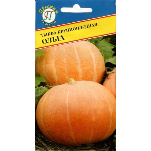 Тыква Ольга Престиж изображение 1 артикул 84393