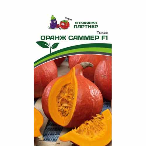 Тыква Оранж Саммер F1 Партнер изображение 1 артикул 40734