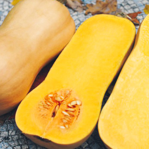 Тыква Страдивари артикул фото 1 Тыква Страдивари изображение 1 артикул 69834