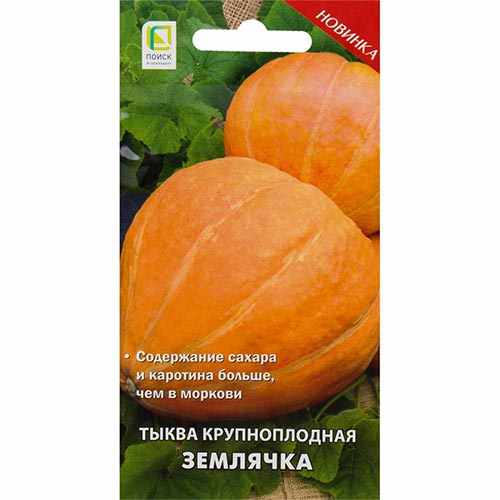 Тыква Землячка Поиск изображение 1 артикул 84976