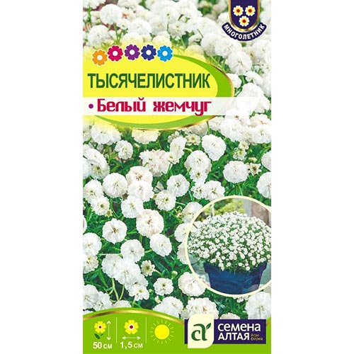 Тысячелистник (ахиллея) Белый жемчуг, семена изображение 1 артикул 94215