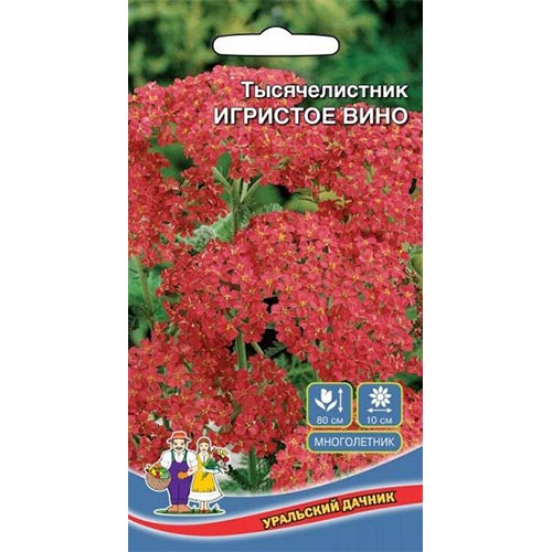 Тысячелистник (ахиллея) Игристое вино, семена изображение 1 артикул 94847