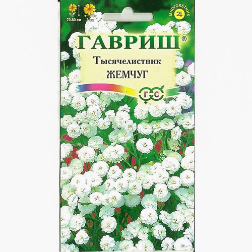 Тысячелистник (ахиллея) Жемчуг, семена изображение 1 артикул 92233