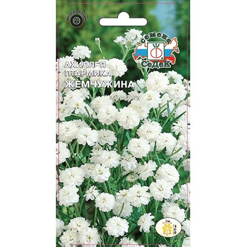 Тысячелистник (ахиллея) Жемчужина, семена изображение 1 артикул 93986