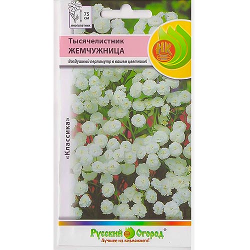 Тысячелистник (ахиллея) Жемчужница, семена изображение 1 артикул 92637