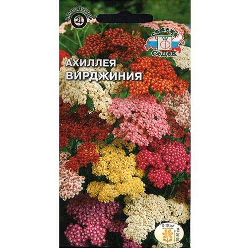 Тысячелистник (ахиллея) Вирджиния, смесь окрасок изображение 1 артикул 93985