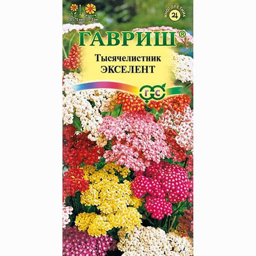 Тысячелистник Экселент, смесь окрасок Гавриш изображение 1 артикул 73754