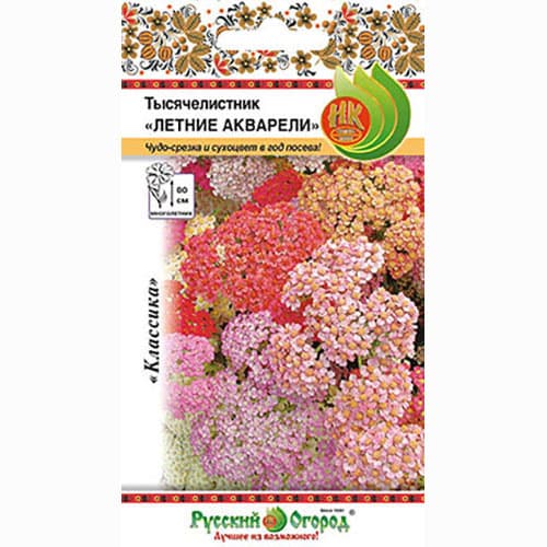 Тысячелистник Летние акварели, смесь окрасок Русский огород НК изображение 1 артикул 69975