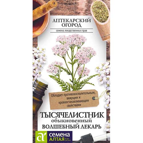 Тысячелистник Волшебный лекарь Семена Алтая изображение 1 артикул 81589