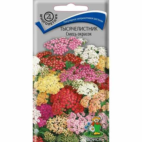 Тысячелистник Ягодный взрыв Поиск изображение 1 артикул 97909