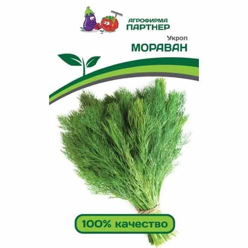 Укроп Мораван Партнер изображение 1 артикул 81076