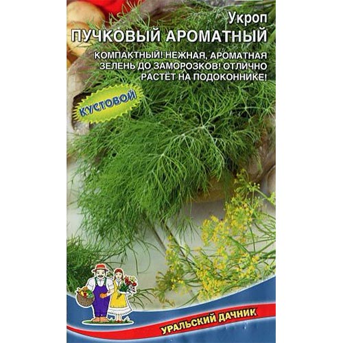 Укроп Пучковый ароматный, семена изображение 1 артикул 94742