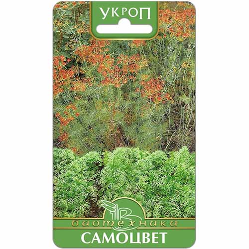 Укроп Самоцвет Биотехника артикул фото 1 Укроп Самоцвет Биотехника изображение 1 артикул 74040