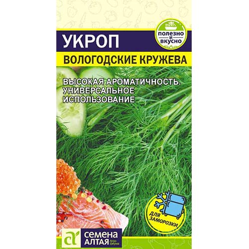 Укроп Вологодские кружева Семена Алтая артикул фото 1 Укроп Вологодские кружева Семена Алтая изображение 1 артикул 78061