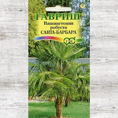 Вашингтония Санта-Барбара Гавриш изображение 1 артикул 85030