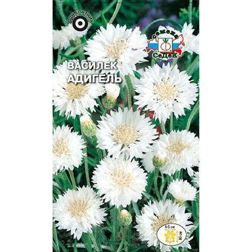 Василек Адигель, семена изображение 1 артикул 93683